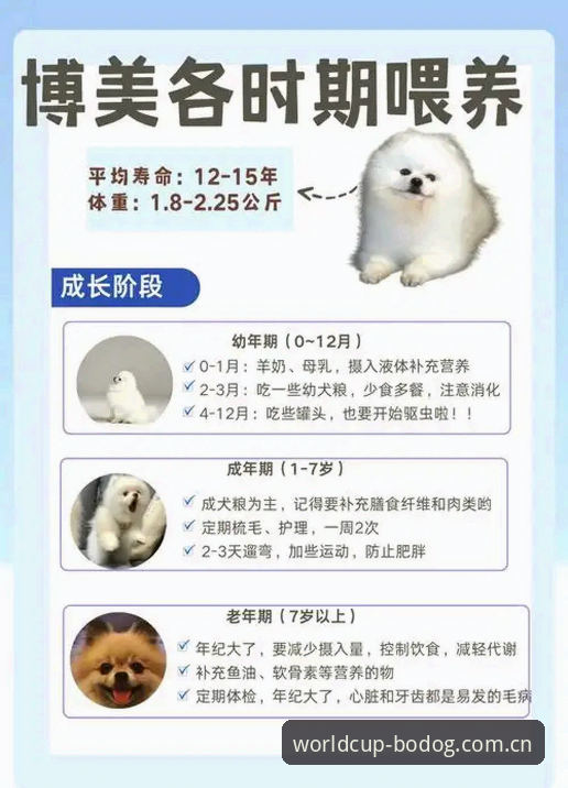 博狗苹果版 世界杯体育平台博狗苹果版深度评测:从技术视角解析移动端博彩体验